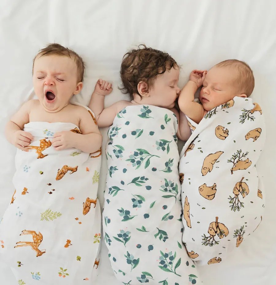 Three babies wrapped in Prakash Cotex cotton muslin swaddles